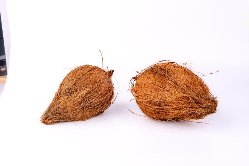 Pluckk Coconut Large(1 Units)
