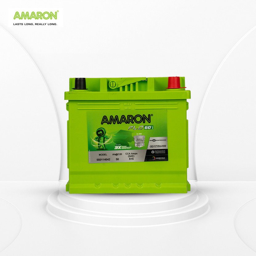 AMARON AAM-FL-545106036 45 Ah Battery for Car