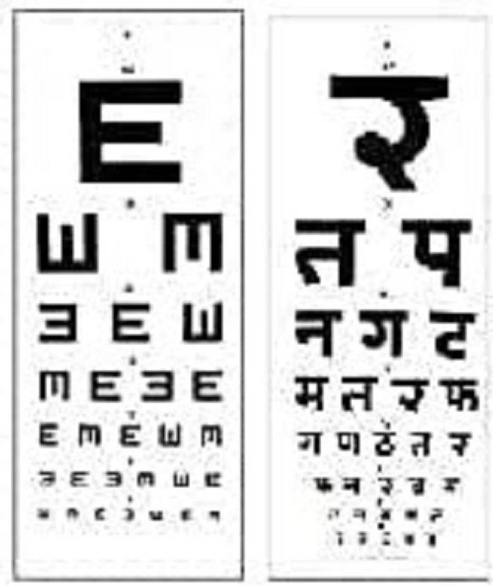 Eyevision english & hindi eye test chart Vision Test Chart Price in