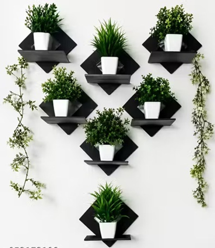 sanwariyaenter squre black Pack of 8(squre)