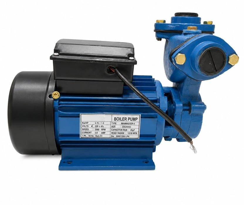 HD Store Industrial Boiler Feed Water Pump 0.75 HP | High Pressure Boiler Pump Centrifugal Water Pump(1 hp)