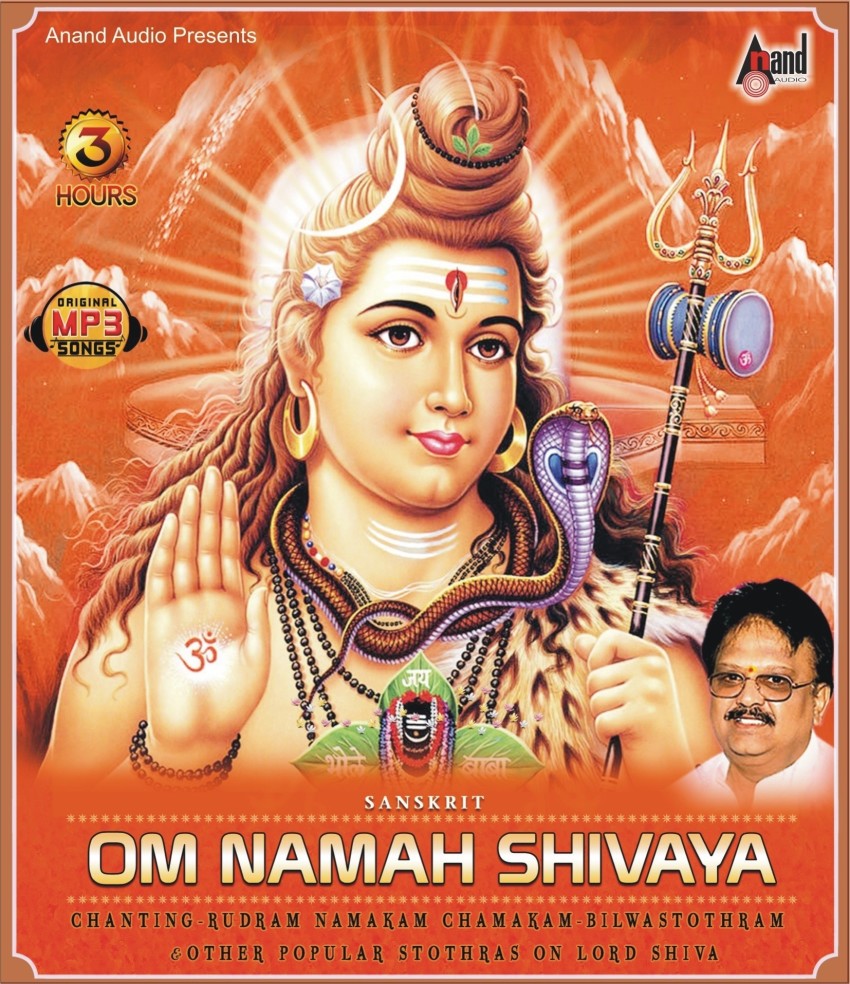 Om Namah Shivaya Music MP3 - Price In India. Buy Om Namah Shivaya ...
