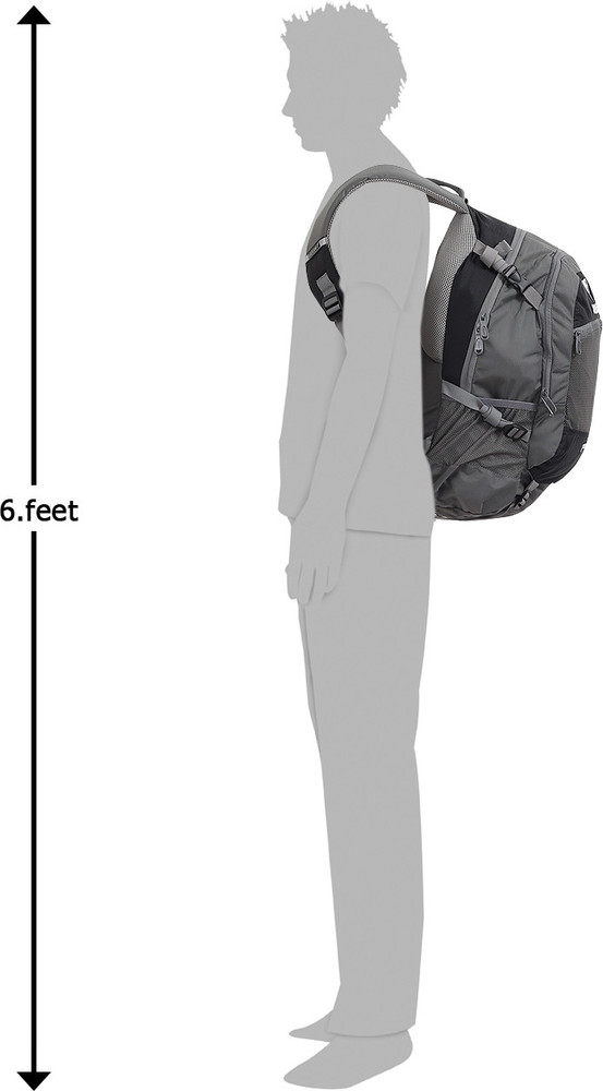 wildcraft y backpack