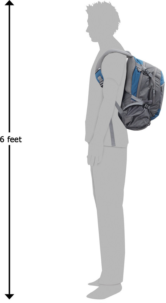 wildcraft pack y backpack