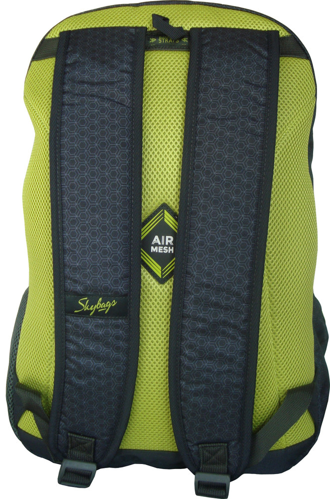 SKYBAGS LAZER 03 GREY 25 L Laptop 