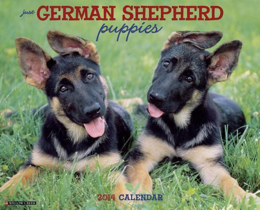 German shepherd dog sales flipkart