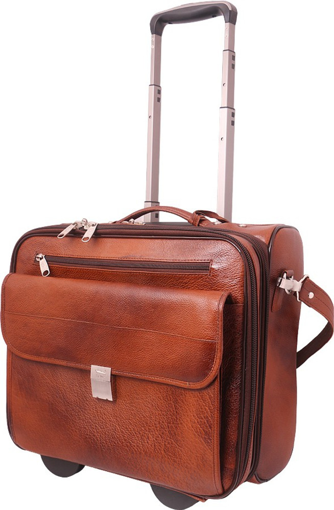 Discover 71+ executive trolley bag in.duhocakina