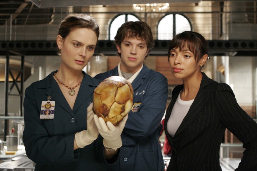 ASHD Wall Poster Bones Camille Saroyan Zack Addy Eric Millegan Tamara  Taylor Emily Deschanel Temperance Brennan Paper Print - TV Series posters  in India - Buy art, film, design, movie, music, nature