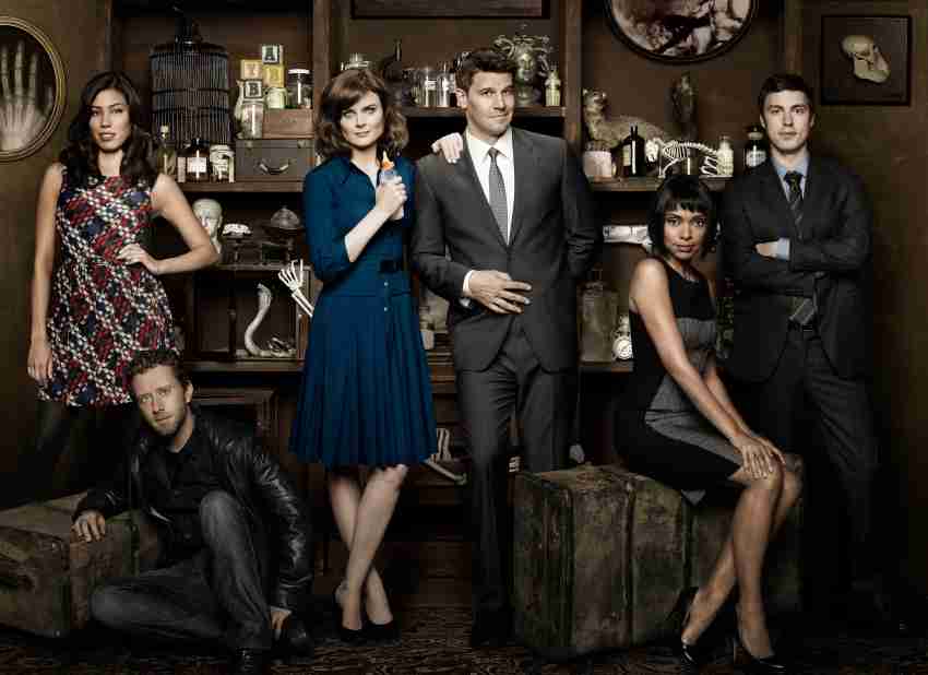 Wall Poster TV Show Bones Tamara Taylor Camille Saroyan Temperance Brennan  Emily Deschanel Paper Print - TV Series posters in India - Buy art, film,  design, movie, music, nature and educational paintings/wallpapers