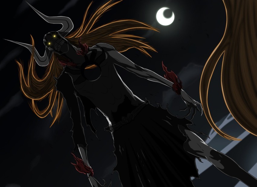 Ichigo vasto lorde  Bleach anime, Bleach anime art, Bleach manga