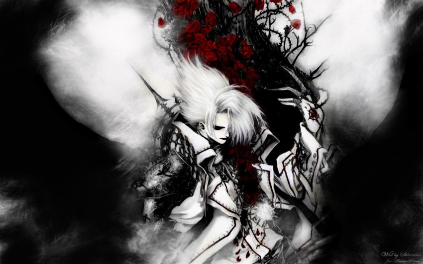 Anime Hellsing Alucard Matte Finish Poster Paper Print - Animation &  Cartoons posters in India - Buy art, film, design, movie, music, nature and  educational paintings/wallpapers at