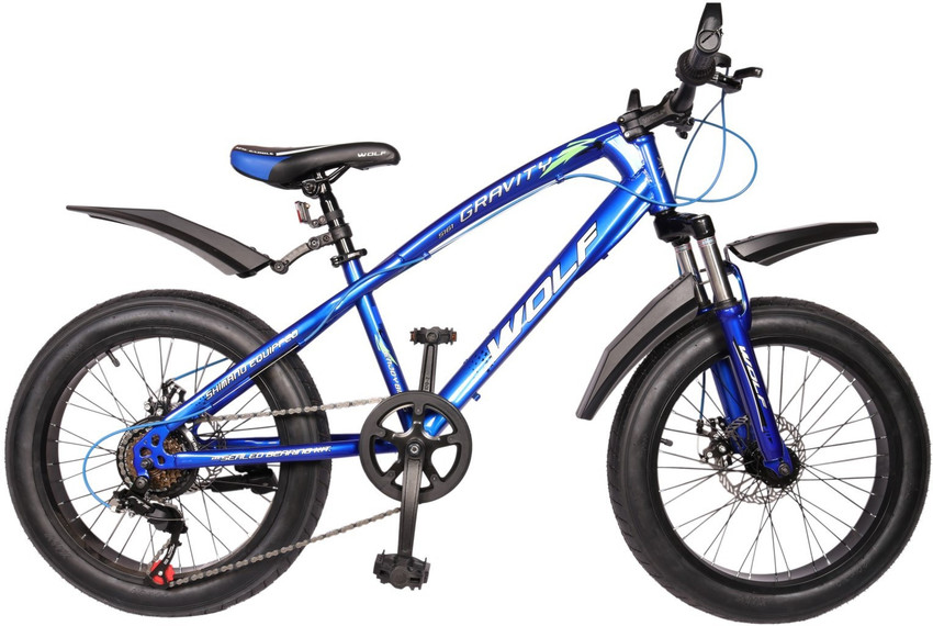 scholl gravity cycle price