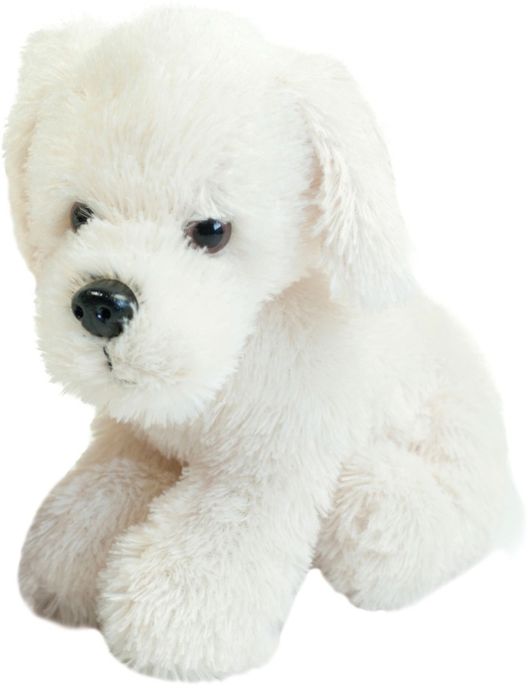 Dog Plush Toys - Stuffed Animals For Dogs & Puppies