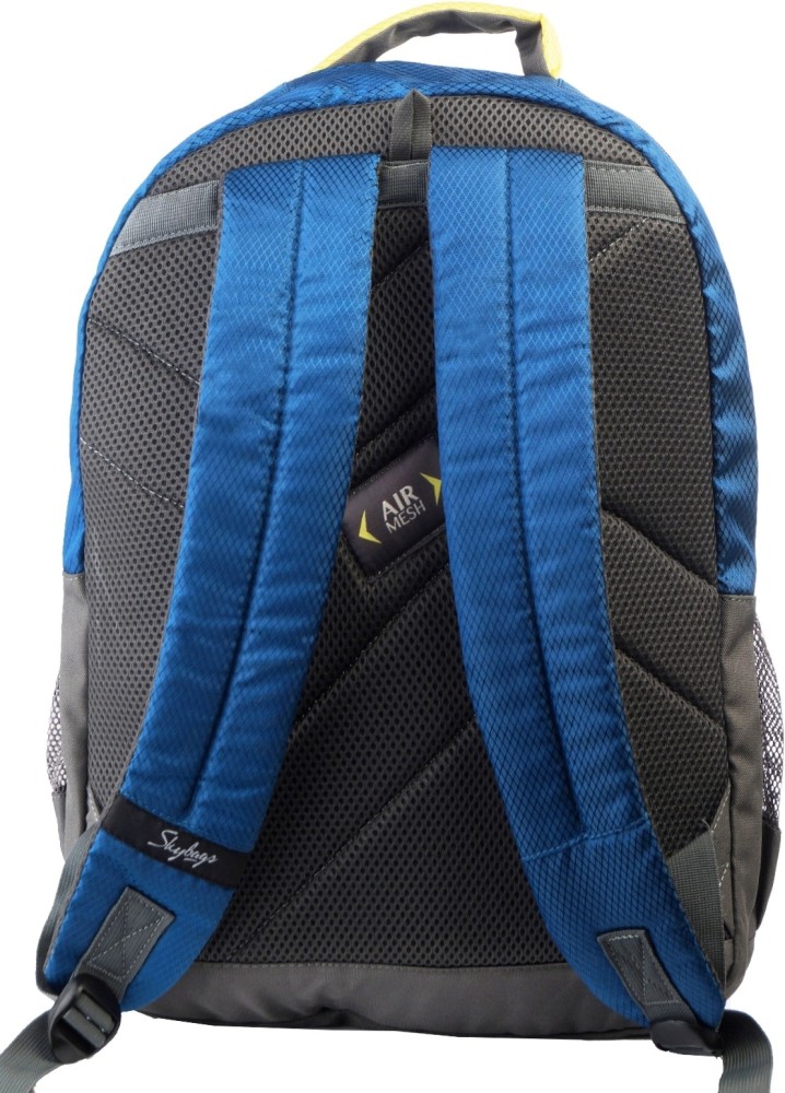 SKYBAGS Sketch02 Backpack Blue 196 L Backpack Blue  Price in India   Flipkartcom