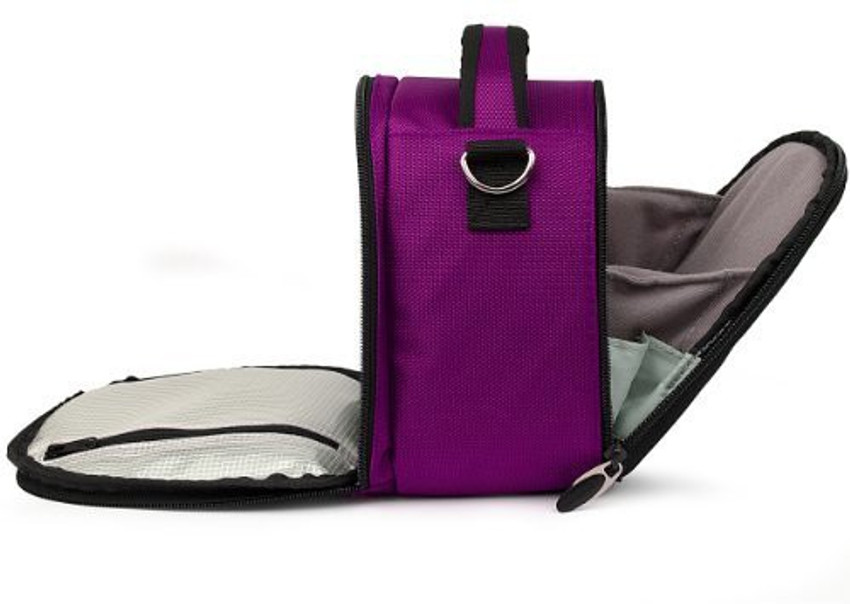 fz300 case