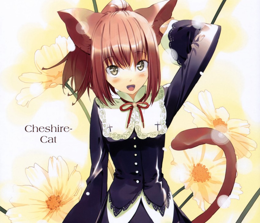 Anime Cheshire Cat