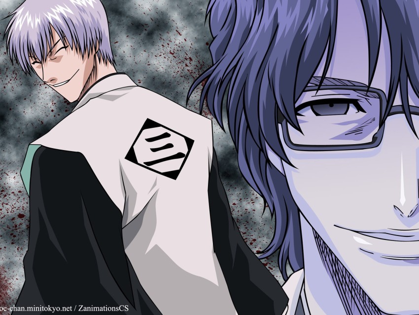 Bleach Gin Vs Aizen