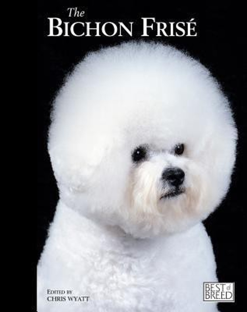 How Much Does A Bichon Frise Dog Cost