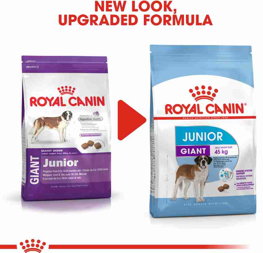 Royal Canin Junior Dog Food edu.svet.gob.gt