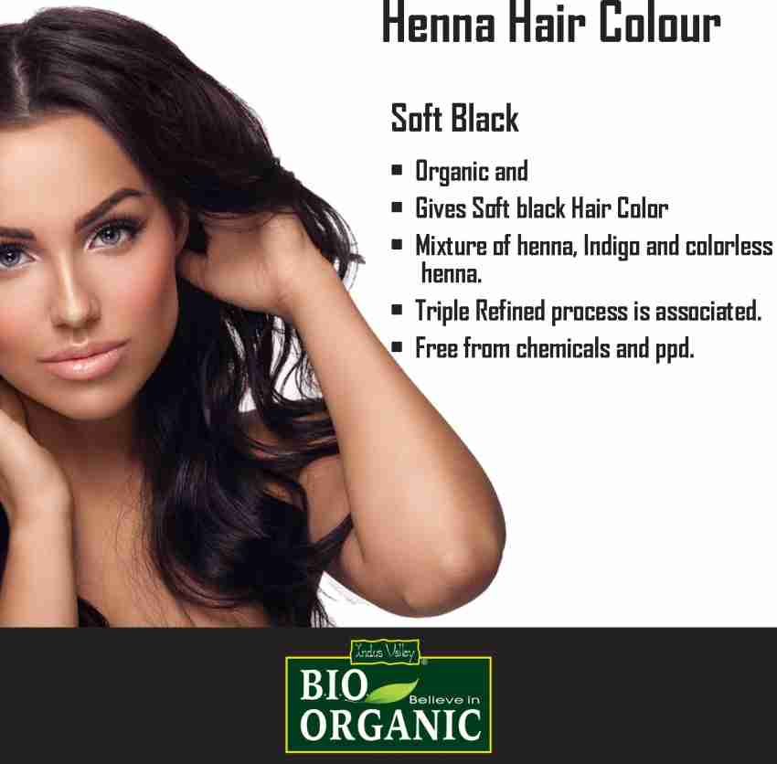Indus Valley Bio Organic Soft Black 100% Organic Henna Hair Color - Price  in India, Buy Indus Valley Bio Organic Soft Black 100% Organic Henna Hair  Color Online In India, Reviews, Ratings