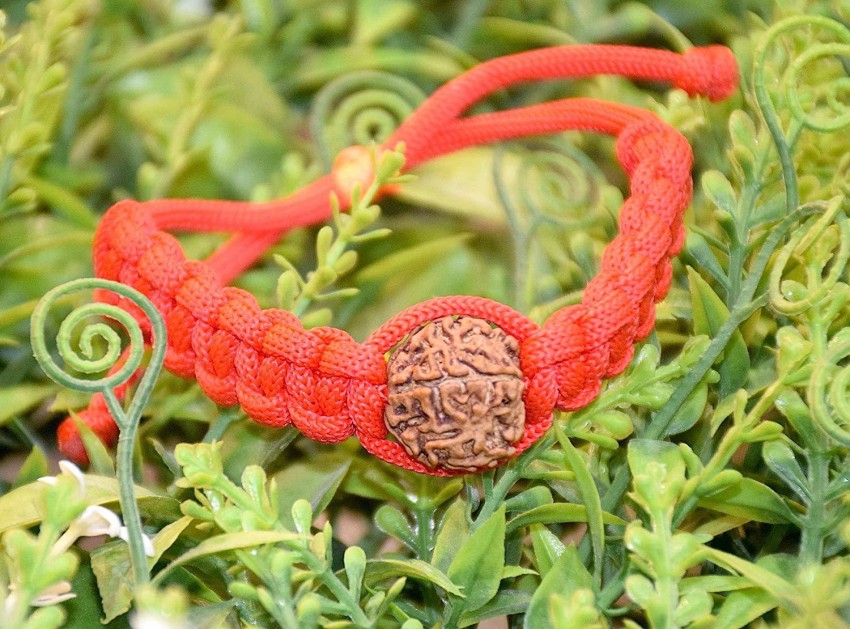 Free Size Natural Rudraksha With Seven Chakra Bracelet