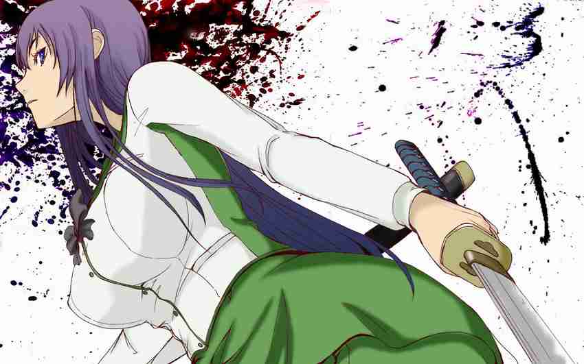 busujima saeko (highschool of the dead)