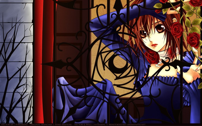 Download Vampire Knight Yuki With Roses Wallpaper  Wallpaperscom