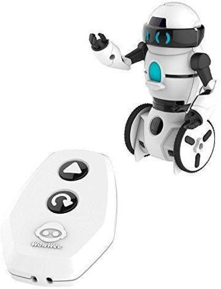 remote control robot flipkart