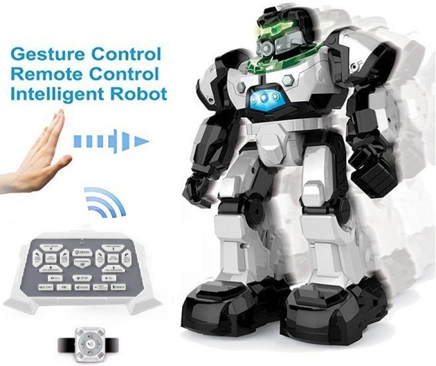 remote control robot flipkart