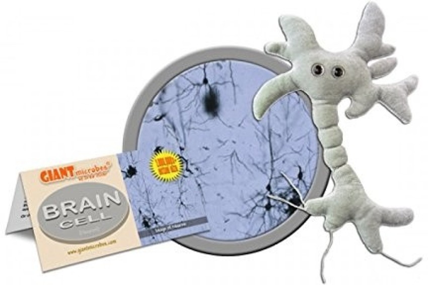 stuffed neuron