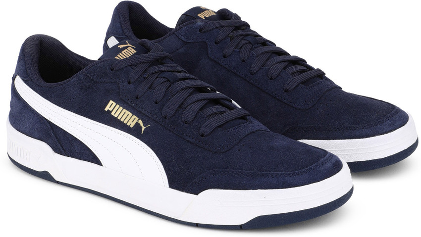 puma caracal blue