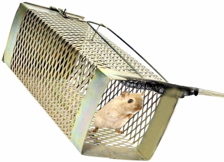 popo Rat Trap, Mouse Trap/Catcher Iron Big Size - Ultimate