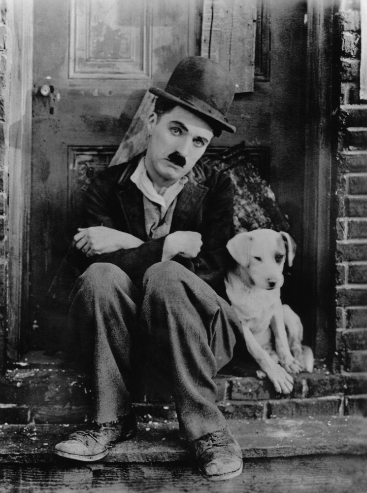 POSTER CHARLIE CHAPLIN AND DOG Paper Print - Personalities posters in India - Buy art, film, design, movie, nature and paintings/wallpapers at Flipkart.com