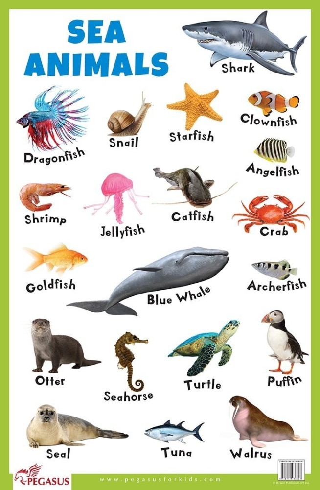 Sea Animals Educational Chart: Buy Sea Animals Educational Chart by Pegasus  at Low Price in India 
