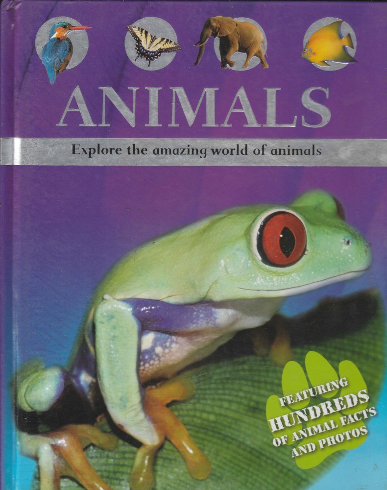 Animals Explore The Amazing World Of Animals: Buy Animals Explore The  Amazing World Of Animals by Morgon Sally at Low Price in India |  
