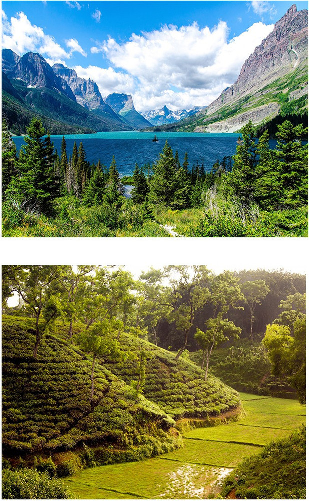 Details 166+ decorative mailing tubes super hot seven.edu.vn