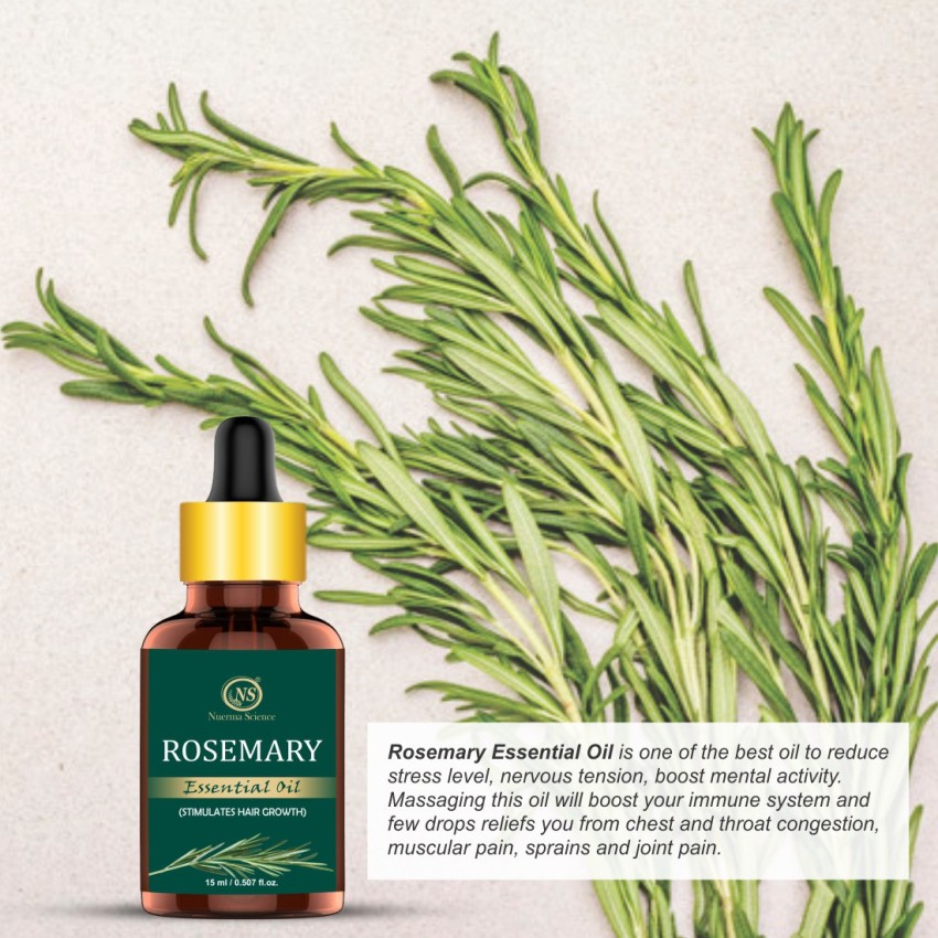 Rosemary Oil For Hair Growth  How To Use It And Side Effects