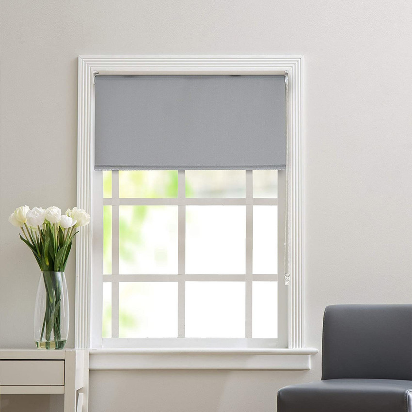 Windshield on sale roller shades