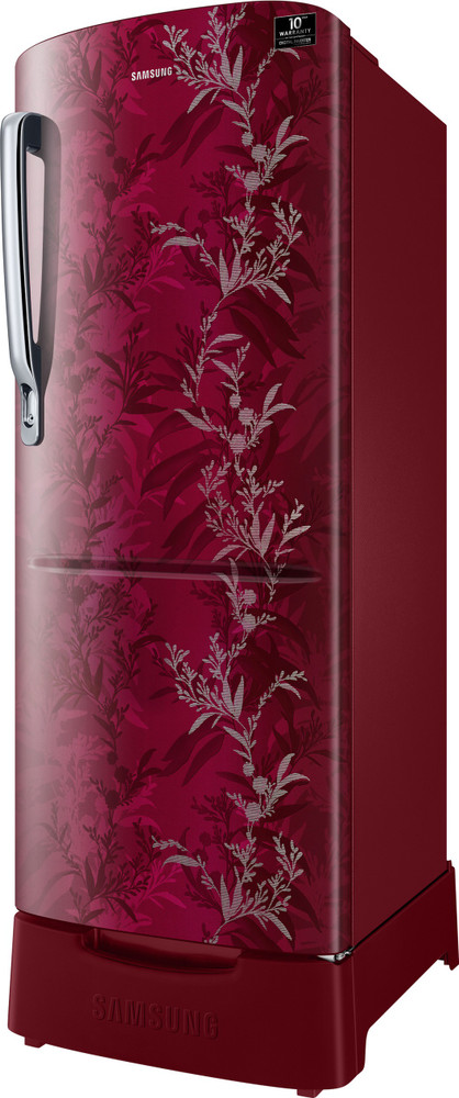 rr24t285y6r single door with stylish grandé design 230l