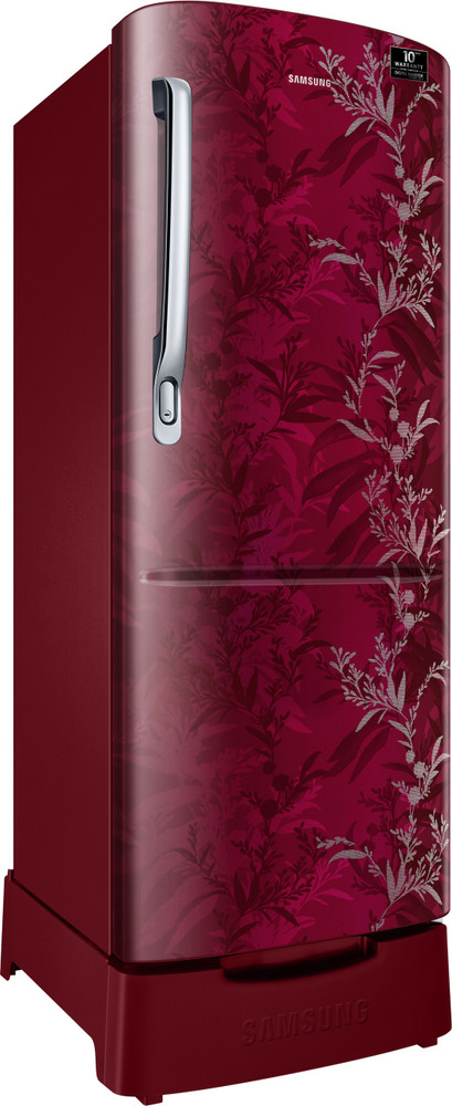 rr24t285y6r single door with stylish grandé design 230l