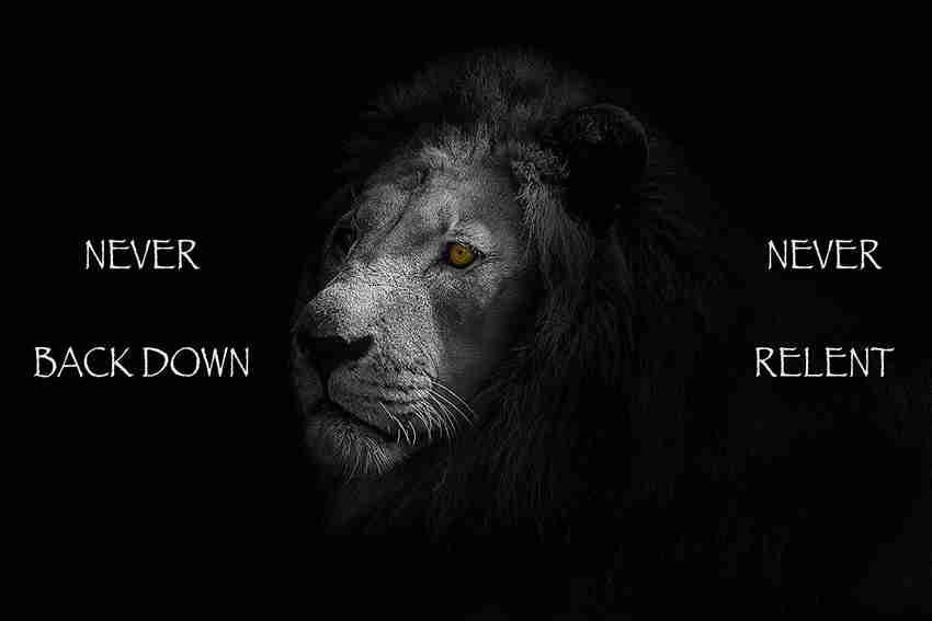 Lion Motivational Posters For Room Office Home Hall Wall Sticker Paper Print - Quotes & Motivation posters in India - Buy art, film, design, movie, music, nature and educational paintings/wallpapers at Lion Motivational Posters For Room Office Home Hall Wall Sticker Paper Print - Quotes & Motivation posters in India - Buy art, film, design, movie, music, nature and educational paintings/wallpapers at