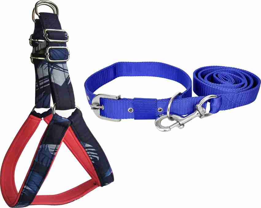 PEDIGONE Dog Belt Combo of 1 inch Blue Military Dog Body Cross Harness with  Blue Dog Collar Belt 1.5m Lengthy Dog Harness u0026 Leash Price in India - Buy  PEDIGONE Dog Belt