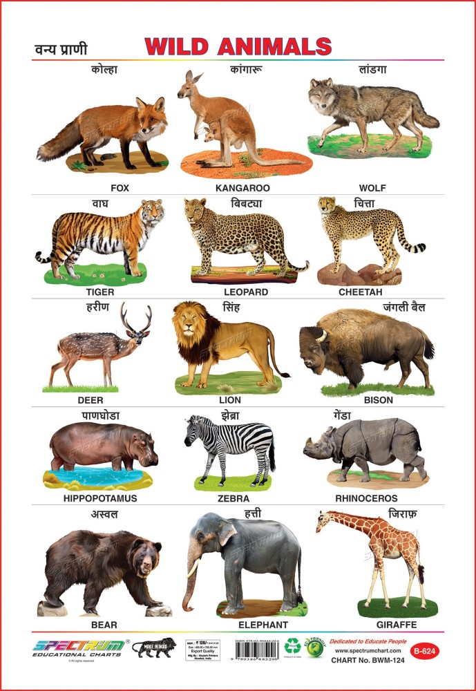 Spectrum Educational Charts: Chart 624 - Indian Forest Animals 1