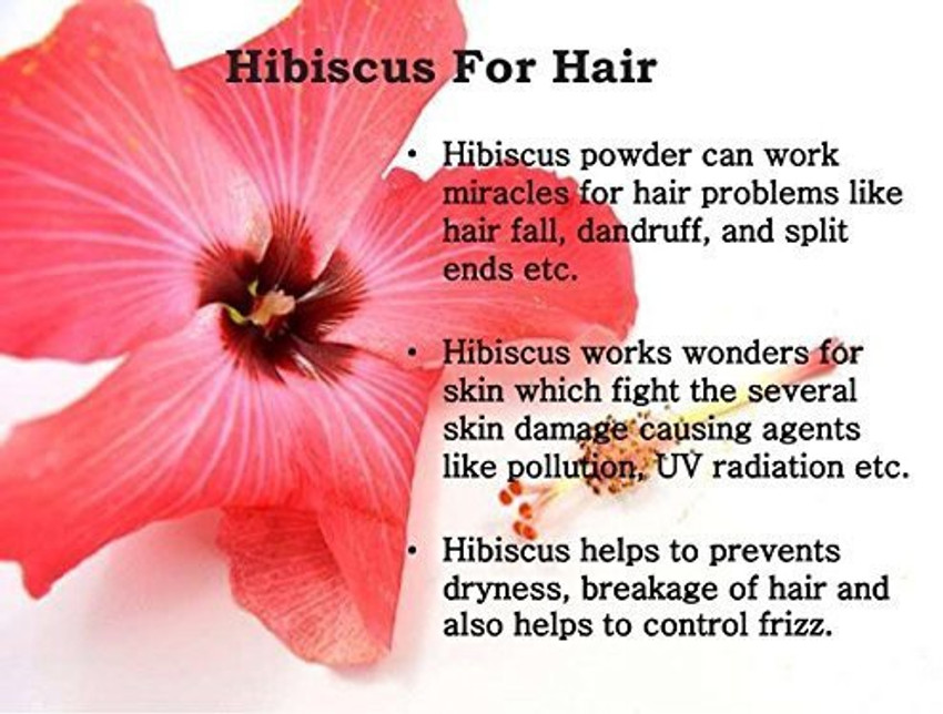 Top more than 86 dried hibiscus flowers for hair super hot in.eteachers