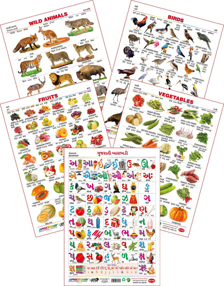 Spectrum Set of 5 Educational Large Wall Charts : ( Wild Animals , Birds , Fruits , Vegetables & Gujarati Barakhadi ) Price in India - Buy Spectrum Set of 5 Educational Spectrum Set of 5 Educational Large Wall Charts : ( Wild Animals , Birds , Fruits , Vegetables & Gujarati Barakhadi ) Price in India - Buy Spectrum Set of 5 Educational