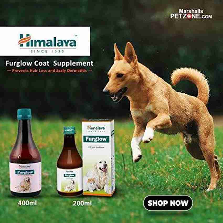 HIMALAYA FURGLOW SKIN AND COAT TONIC FOR PETS 400 ML Pet Health Supplements Price in India - Buy HIMALAYA FURGLOW SKIN AND COAT TONIC FOR PETS 400 ML Pet Health Supplements online HIMALAYA FURGLOW SKIN AND COAT TONIC FOR PETS 400 ML Pet Health Supplements Price in India - Buy HIMALAYA FURGLOW SKIN AND COAT TONIC FOR PETS 400 ML Pet Health Supplements online