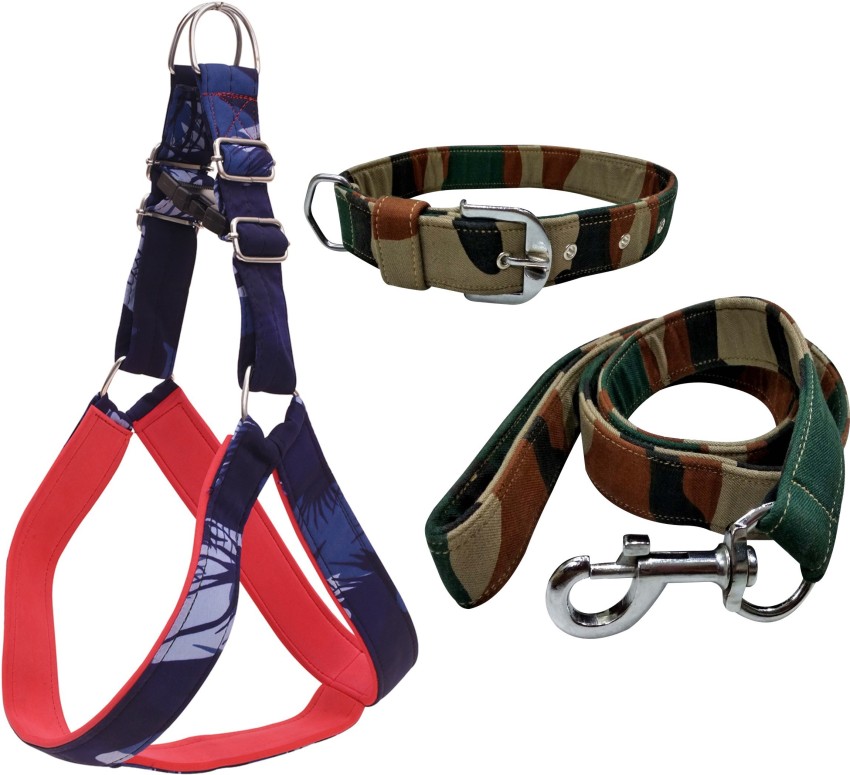 PEDIGONE Dog Belt Combo of Blue Military Printed Dog Collar with Dog Leash  Specially for Small Breed Dog Collar & Leash Price in India - Buy PEDIGONE  Dog Belt Combo of Blue