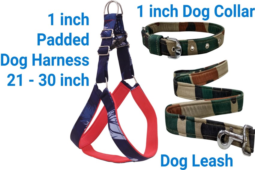 PEDIGONE Dog Belt Combo of Blue Military Printed Dog Collar with Dog Leash  Specially for Small Breed Dog Collar & Leash Price in India - Buy PEDIGONE  Dog Belt Combo of Blue