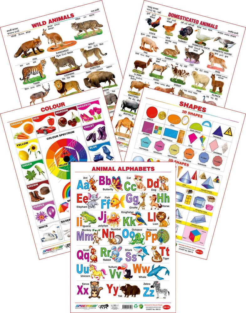 Spectrum Set of 5 Educational Large Wall Charts : ( Wild Animals , Domestic  Animals , Colours , Shapes & Animals Alphabet ) Price in India - Buy  Spectrum Set of 5