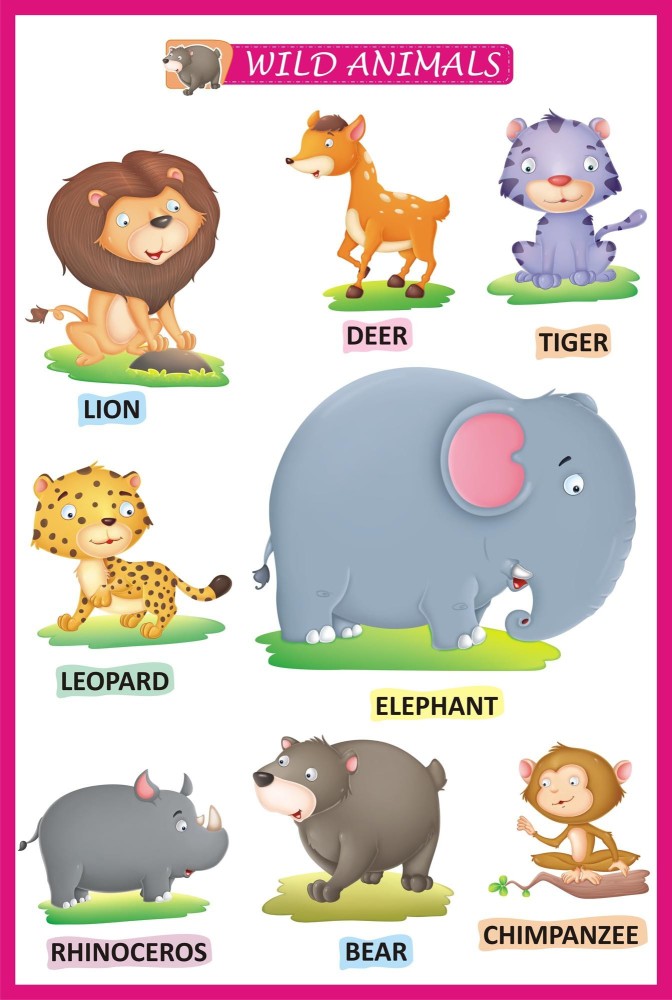 wild animals pictures for kids